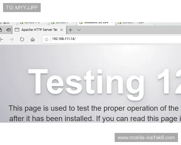 K8捕鱼网投平台的客户服务与技术支持全面评测分析