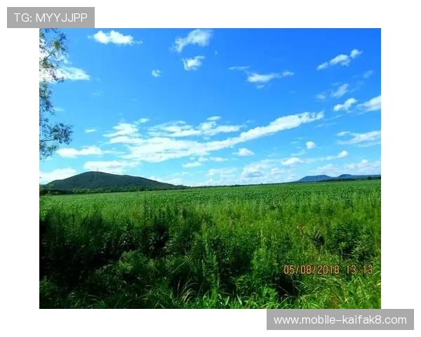 凯发电游游戏免费试玩体验指南,零风险上手快速掌握游戏技巧